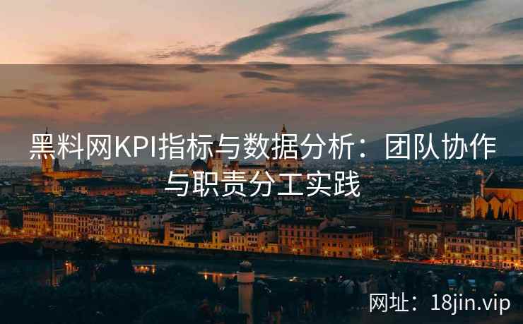 黑料网KPI指标与数据分析：团队协作与职责分工实践