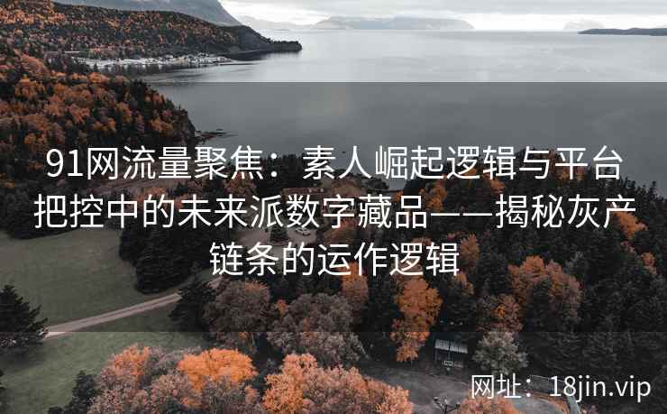 91网流量聚焦：素人崛起逻辑与平台把控中的未来派数字藏品——揭秘灰产链条的运作逻辑