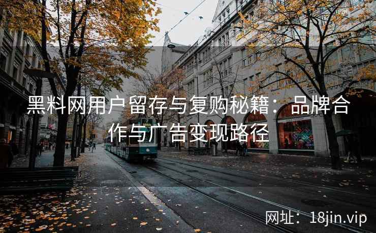 黑料网用户留存与复购秘籍：品牌合作与广告变现路径