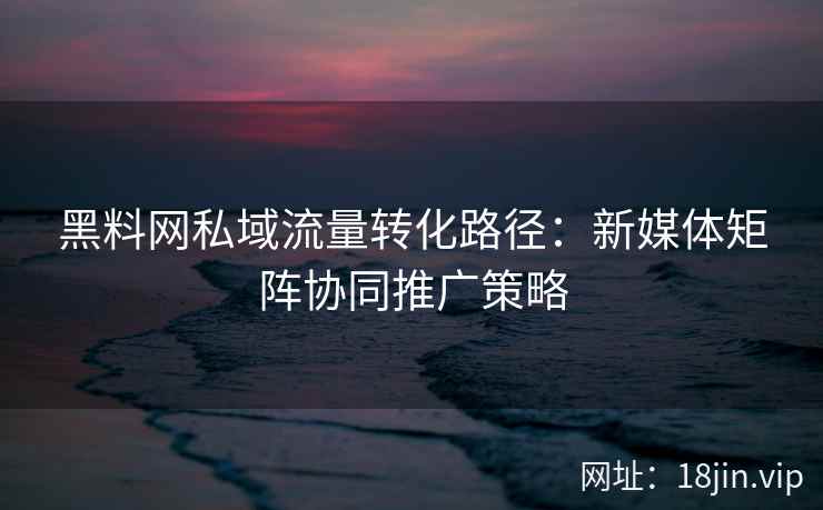 黑料网私域流量转化路径：新媒体矩阵协同推广策略