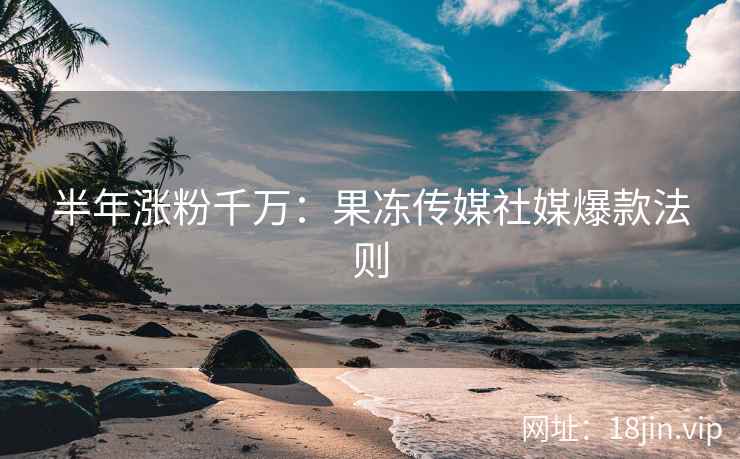 半年涨粉千万：果冻传媒社媒爆款法则