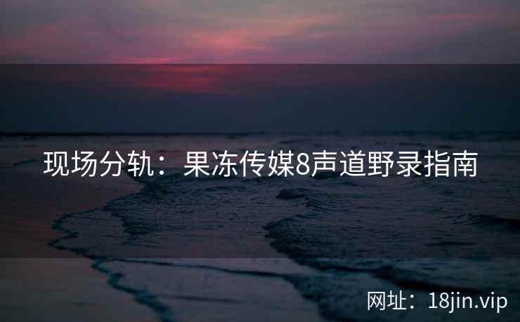 现场分轨：果冻传媒8声道野录指南