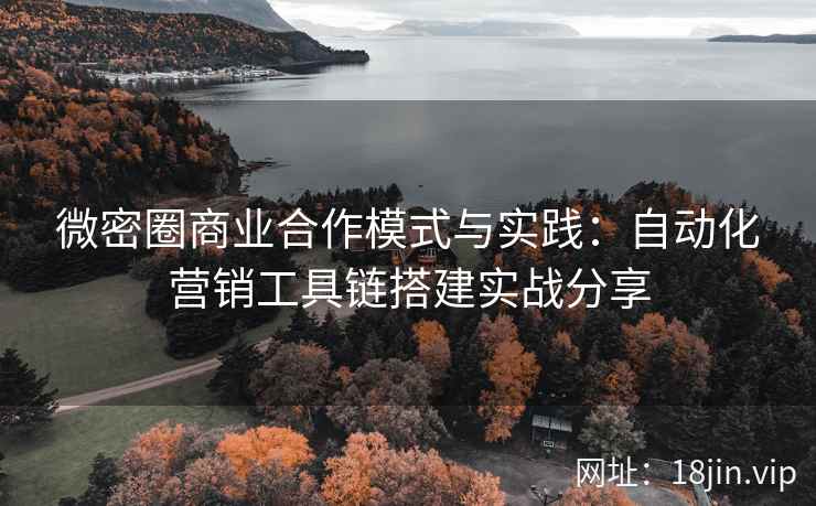 微密圈商业合作模式与实践：自动化营销工具链搭建实战分享